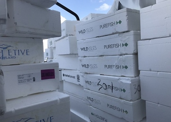 EPS waste fish boxes